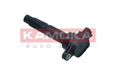 Ignition Coil 7120018