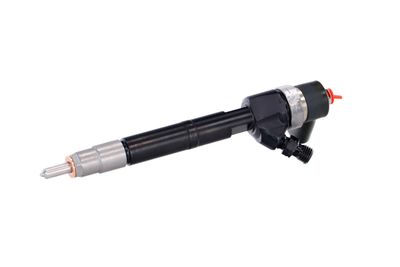 INJECTOR REMANTE 002003001100R 6