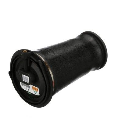 LUFTFEDER FAHRWERK Arnott A2612 38