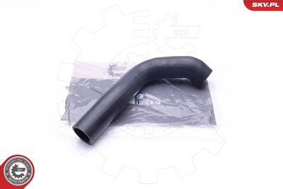 Radiator Hose 43SKV707