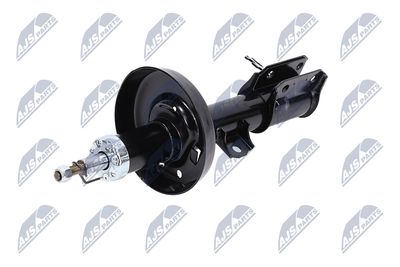 AMORTIZOR NTY APL060 3