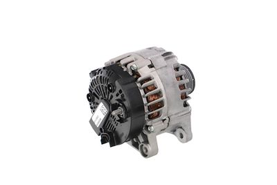 GENERATOR / ALTERNATOR REMANTE 011003000865R 39