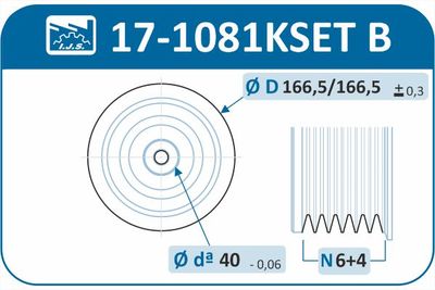 SET FULIE ARBORE COTIT IJS GROUP 171081KSETB 1