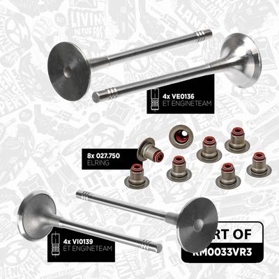 SET CUREA DE DISTRIBUTIE ET ENGINETEAM RM0033VR3 5