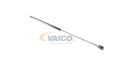 AMORTIZOR CAPOTA VAICO V302336 19