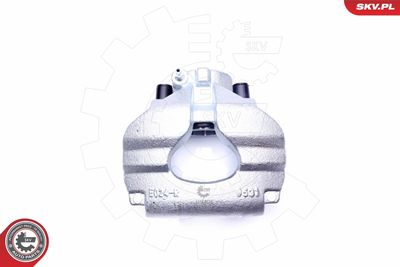 Brake Caliper 45SKV312