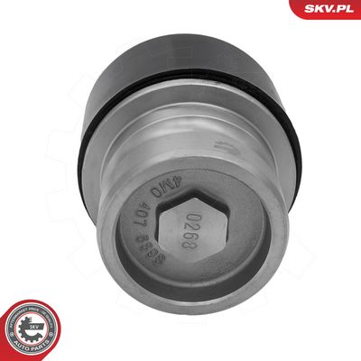 ESEN SKV - Zvislý / nosný čap (spodný čap) AUDI, BENTLEY, PORSCHE, VW, … , 69SKV875