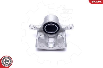 Brake Caliper 46SKV842