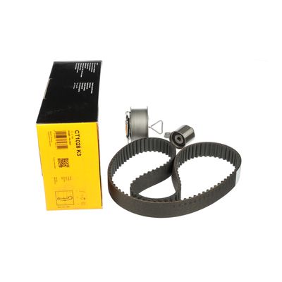 SET CUREA DE DISTRIBUTIE ET ENGINETEAM RM0019 26