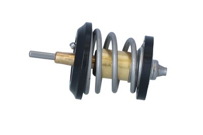 TERMOSTAT LICHID RACIRE NRF 725250 14