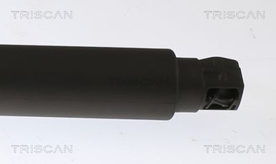 Vorschau Gasfeder, Koffer-/Laderaum Ansicht 3