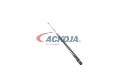 AMORTIZOR PORTBAGAJ ACKOJA A520065 48