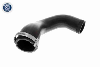 FURTUN EAR SUPRAALIMENTARE VAICO V104816 8