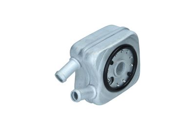 RADIATOR ULEI ULEI MOTOR KAMOKA 7730008 3