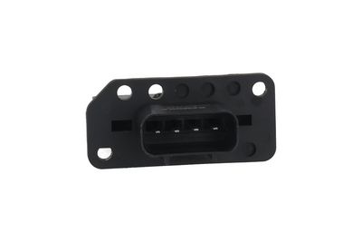 Varža, vidaus pūtiklis