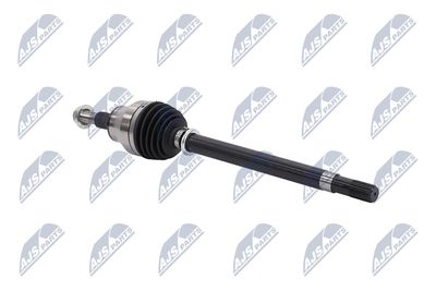 PLANETARA NTY NPWCH154 11