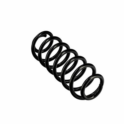 ARC SPIRAL EIBACH R10319 11