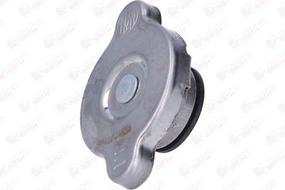 BUSON RADIATOR BIRTH 80429 3