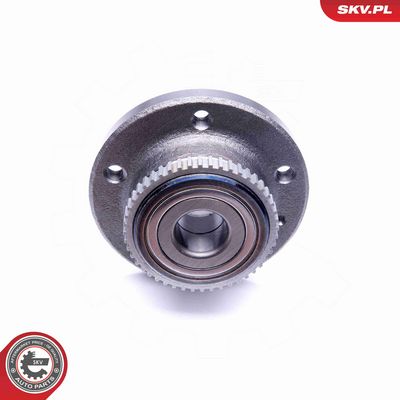 SET RULMENT ROATA ESEN SKV 29SKV198 3