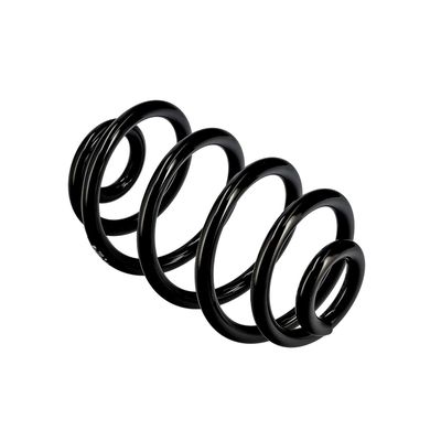 ARC SPIRAL EIBACH R10050 10