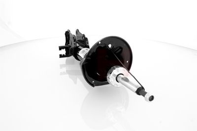 AMORTIZOR GH GH353422H 21