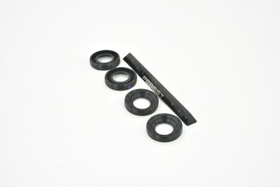 INEL ETANSARE INJECTOR FEBEST PGCP003PCS4 35