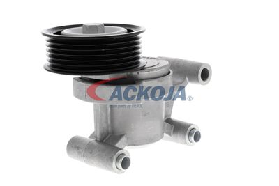 INTINZATOR CUREA CUREA DISTRIBUTIE ACKOJA A320602 54