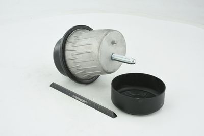 SUPORT MOTOR FEBEST TMGSE20F 8