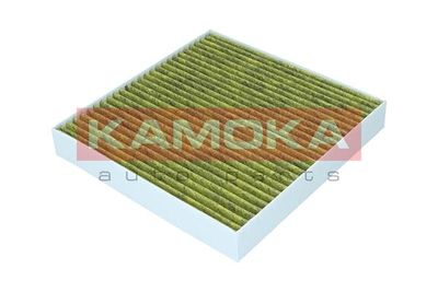 Filter, cabin air 6080170