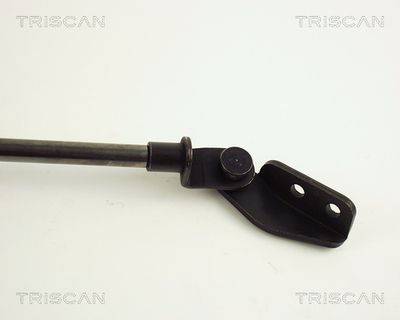 AMORTIZOR PORTBAGAJ KAWE 871042218 2