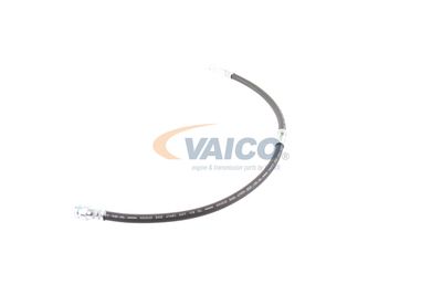 FURTUN FRANA VAICO V103077 27