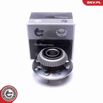 SET RULMENT ROATA ESEN SKV 29SKV337