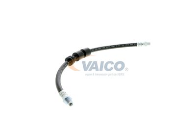 FURTUN FRANA VAICO V204105 43