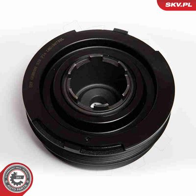 FULIE CUREA ARBORE COTIT ESEN SKV 95SKV303 2