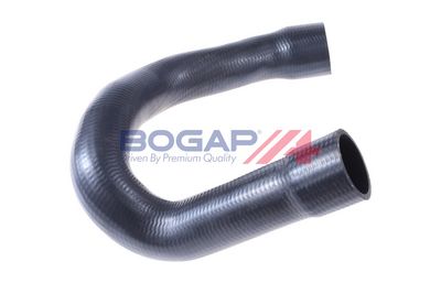FURTUN EAR SUPRAALIMENTARE BOGAP A1711216 2