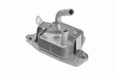 RADIATOR ULEI ULEI MOTOR