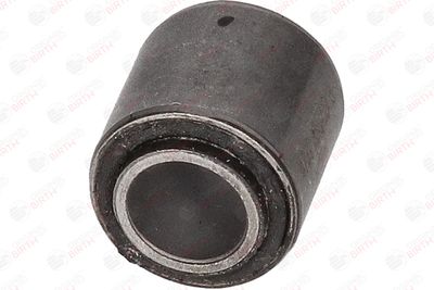 BUCSA ARBORE DE DIRECTIE BIRTH 4739 4