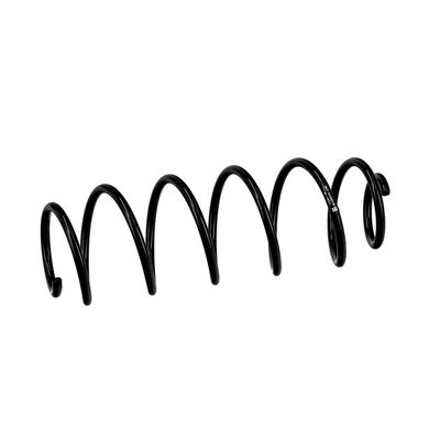 ARC SPIRAL EIBACH R10034 18