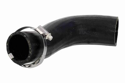 FURTUN EAR SUPRAALIMENTARE