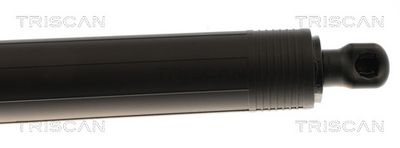 AMORTIZOR PORTBAGAJ TRISCAN 871043313 2