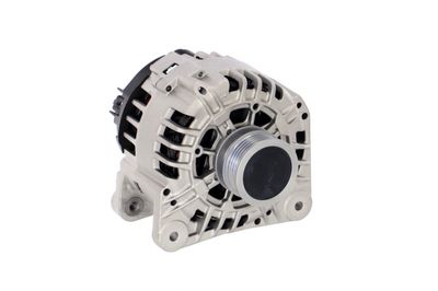 GENERATOR / ALTERNATOR REMANTE 011003000135R 53