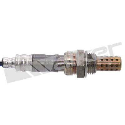 LAMBDASONDE WALKER PRODUCTS 25024228 1