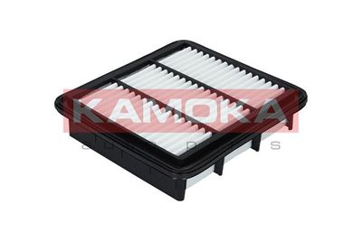 Air Filter F213001