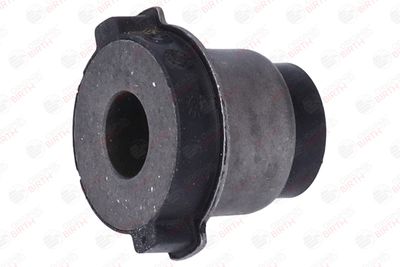 SUPORT AX BIRTH 53938 9