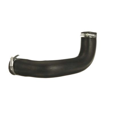 FURTUN EAR SUPRAALIMENTARE GATES 090609 12