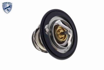 TERMOSTAT LICHID RACIRE ACKOJA A26990007 4