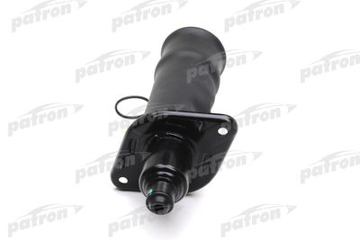 PATRON PAS1002 PATRON PAS1002