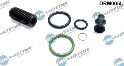 Zestaw naprawczy, pompowtryskiwacz (PDE) DR.MOTOR AUTOMOTIVE DRM005L