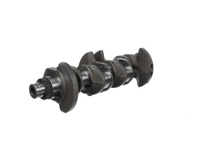 ARBORE COTIT ET ENGINETEAM HK0230 14