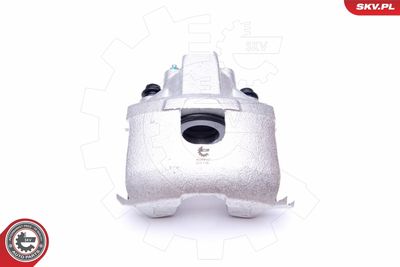 Brake Caliper 45SKV682